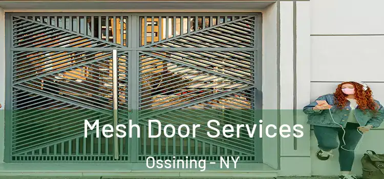 Mesh Door Services Ossining - NY